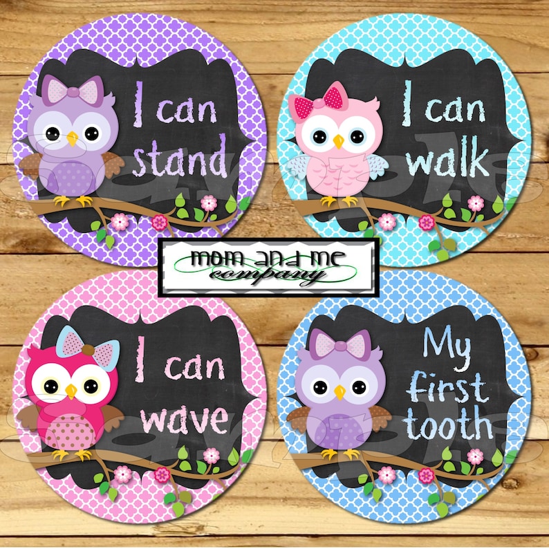 My First Baby stickers Milestone Onepiece Stickers Baby Girl Owl Monthly Stickers Baby Shower Gift I can stickers chalkboard chalk