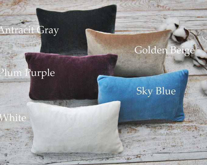 Baby Posing Pillow for Newborn Photography with Zippered Velvet Covers in 5 Colors Newborn Photo Prop Pillow Posing Props