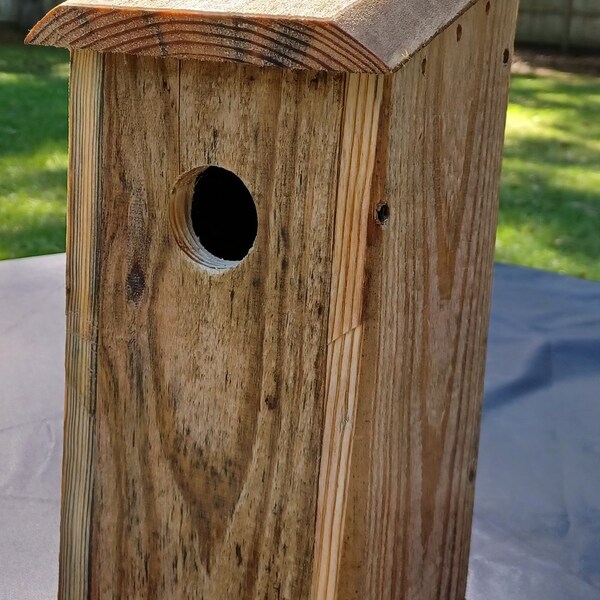 Bird House With Camera Etsy