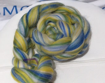 Great Tit (bird) 100g roving