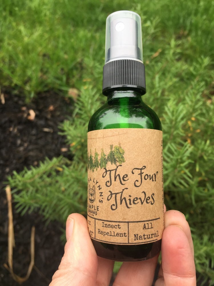 Four Thieves insect repellent holistic spray