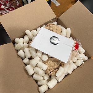 Pode incluir: Uma caixa de envio quadrada de papel&atilde;o preenchida com flocos de espuma branca e papel de embalagem tipo colmeia marrom. Um cart&atilde;o retangular branco com um adesivo preto circular est&aacute; colocado sobre o enchimento, junto a um pirulito vermelho e branco.