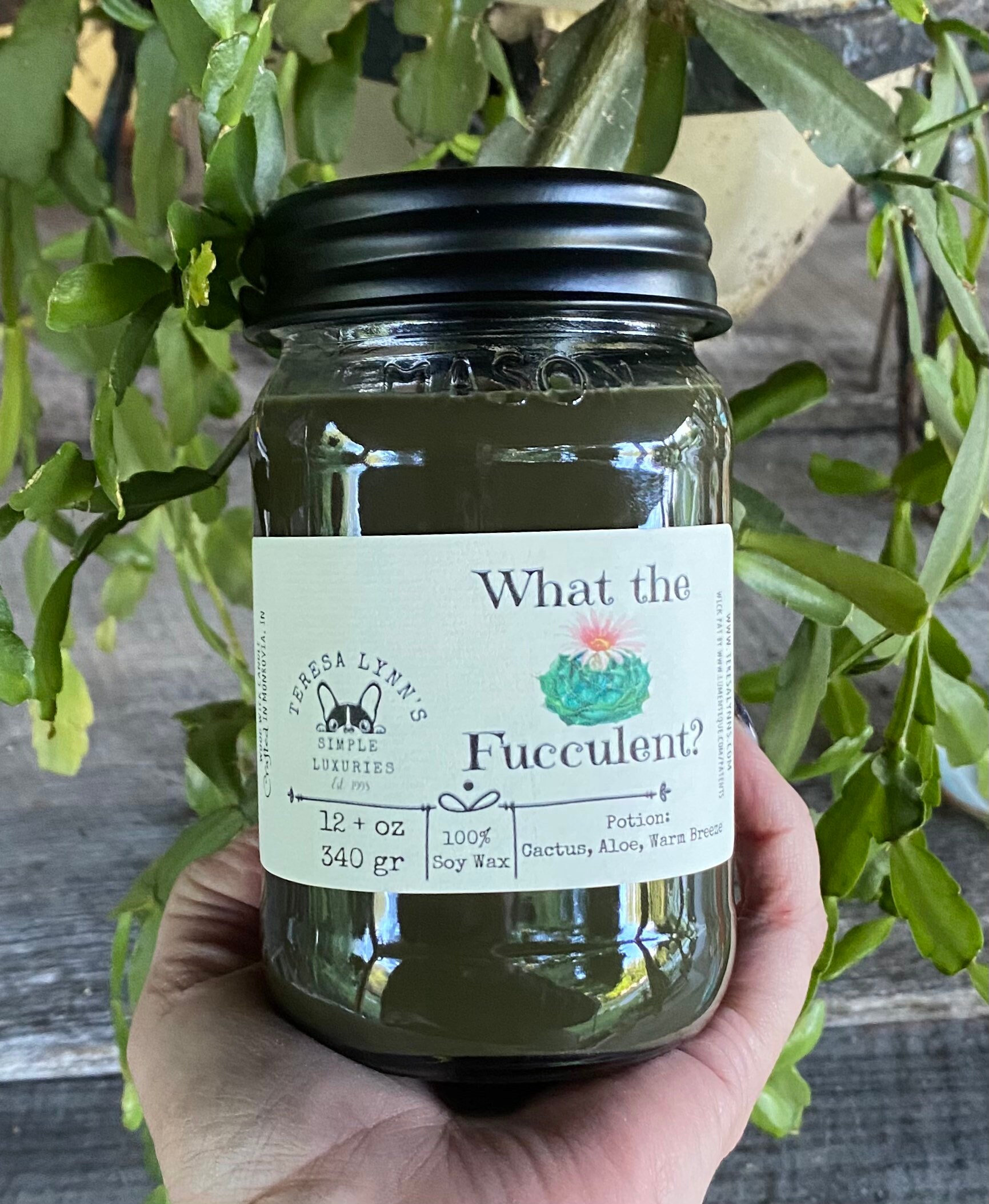 What the Fucculent Soy wax wooden wick, Phthalate free, Mason jar