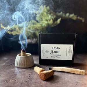Palo Santo Incense Cone set, Hand rolled, hand made, Natural wood, Ecuadorian, space cleansing, witchy, intention, responsibly harvested