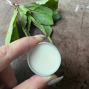 Op de afbeelding: Een klein, rond, zilverkleurig metalen blikje gevuld met een gladde, gebroken witte cr&egrave;me of zalf. Achter het blikje ligt een bosje groene weegbreebladeren met zichtbare nerven en dunne, vezelige wortels aan de basis van de stengels.