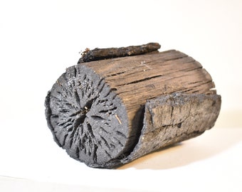 Japanese oak charcoal, 40 grams,