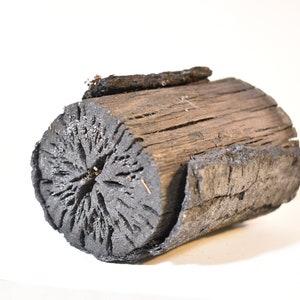 May include: A close-up of a piece of charcoal, showing the charred wood grain and a large hole in the centre.
