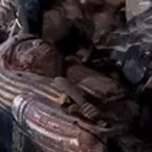 Huile de musc égyptien