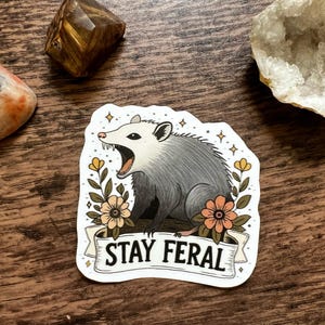 May include: A die-cut sticker featuring a gray and white opossum with its mouth open, surrounded by orange and yellow flowers and small star accents. Below the opossum is a white banner with the black text STAY FERAL printed in capital letters.