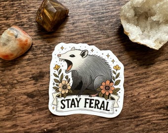 Stay Feral Opossum Vinyl Sticker | Funny Animal Sticker | Opossum Sticker | Laptop Water Bottle Notebook Sticker