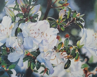 WHITE AZALEAS > Azaleas Floral Art Watercolor Print