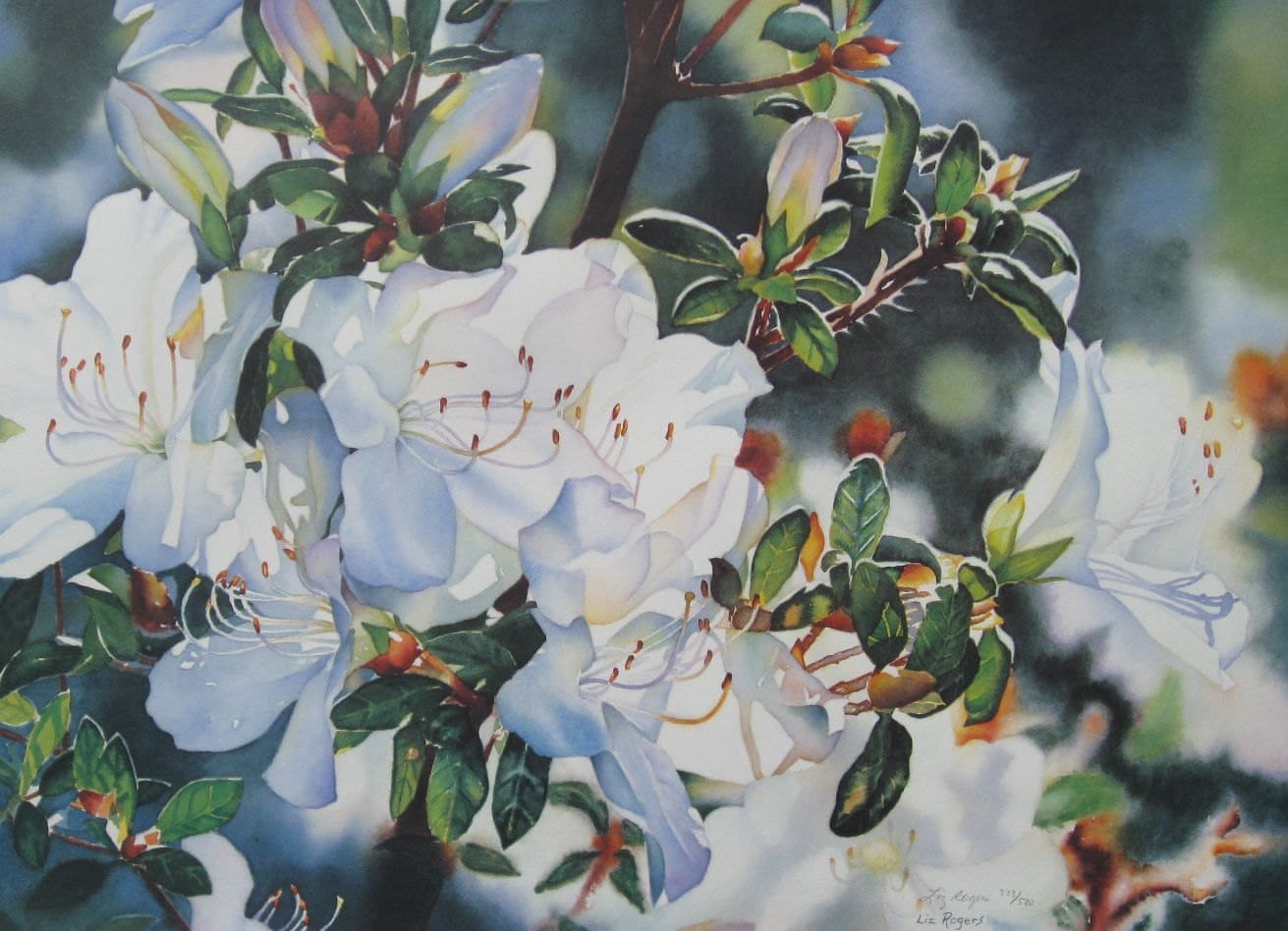 WHITE AZALEAS > Azaleas Floral Art Watercolor Print - Etsy