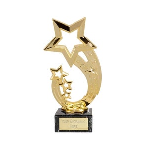 Personalised Engraved Trophy Star Award, FREE ENGRAVING, Office Christmas Party, Secret Santa Award Trophies, Corporate Award Trophy, Kids