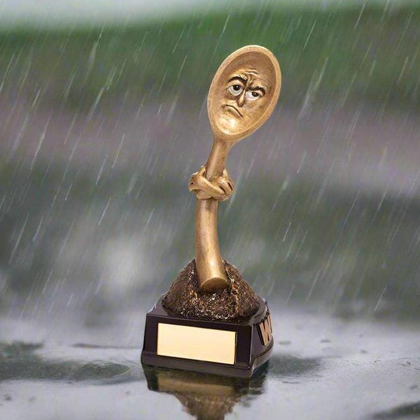Engraved Wooden Spoon Novelty Trophy Award, FREE PERSONALISATION, Booby Prize, Last Place Loser Fun Trophy