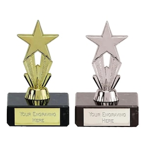 Personalised Engraved Trophy Star Award, FREE ENGRAVING, Secret Santa, Award Trophies, Corporate Award Trophy, Office Christmas Party