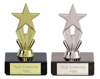 Personalised Engraved Trophy Star Award, FREE ENGRAVING, Secret Santa, Award Trophies, Corporate Award Trophy, Office Christmas Party