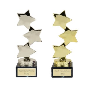 Personalised Engraved Star Trophy Award, FREE ENGRAVING, Office Christmas Party, Secret Santa, Corporate Trophys