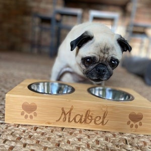 Personalized Dog Bowls