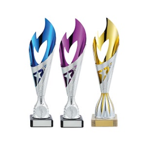 Personalised Engraved Trophy Cup Award, FREE ENGRAVING, Kids Trophy, Secret Santa, Award Trophies, Corporate Award Trophy, Large 26-28cm