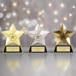 Star Plaque Trophy Award, FREE ENGRAVING, Add your logo, Gold, Silver & Bronze Trophy, Corporate Awards, Budget Trophies, 2D Metal Trophy