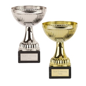 Engraved Budget Trophy Cup Silver or Gold Berne Cup Award - Free Personalisation
