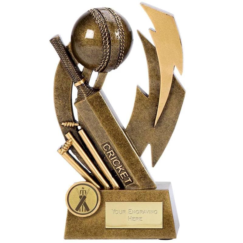Golden Star Cricket Trophy At Rs 650/set In Moradabad | ID: 24310628262 - Foto 2