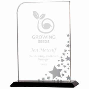 Clear Glass Star Award, Corporate Awards, Personalised Engraved Glass Trophy Award with Star Decoration, Add your own logo
