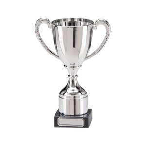 Personalised Engraved Trophy Cup Award, FREE ENGRAVING, Office Christmas Party, Secret Santa, Award Trophies, Corporate Award Trophy, Kids
