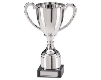 Personalised Engraved Trophy Cup Award, FREE ENGRAVING, Office Christmas Party, Secret Santa, Award Trophies, Corporate Award Trophy, Kids