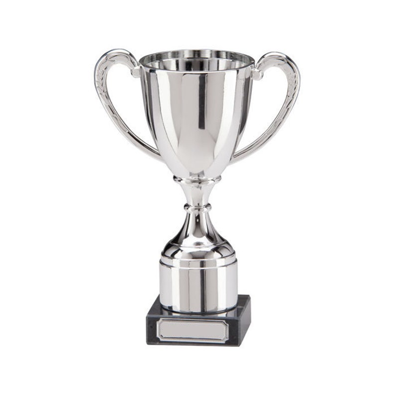 Personalised Engraved Trophy Cup Award FREE ENGRAVING Office Etsy