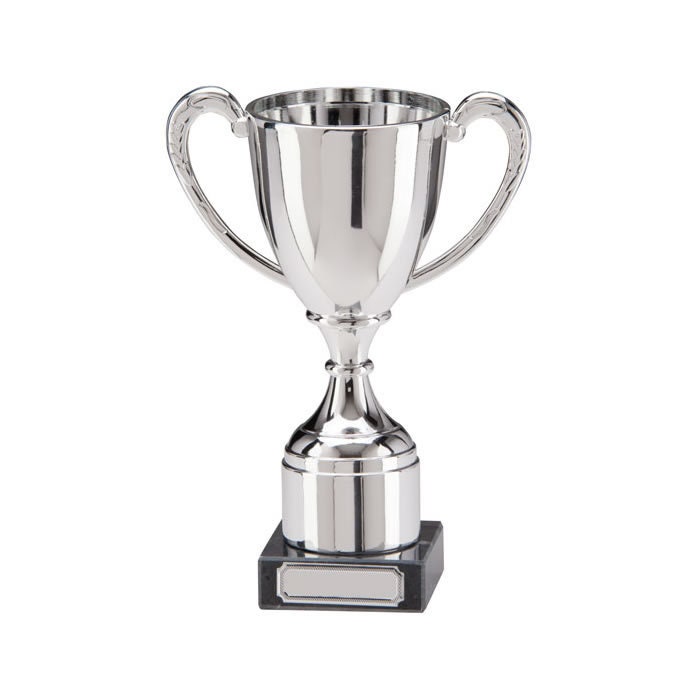 Personalised Engraved Trophy Cup Award, FREE ENGRAVING, Office Christmas Party, Secret Santa, Award Trophies, Corporate Award Trophy, Kids