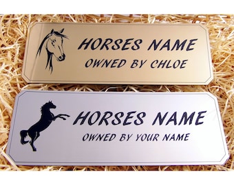 Personalisiertes Türschild, Pferd/Pony Geschenk, Silber & Gold Namensschild, Plakette