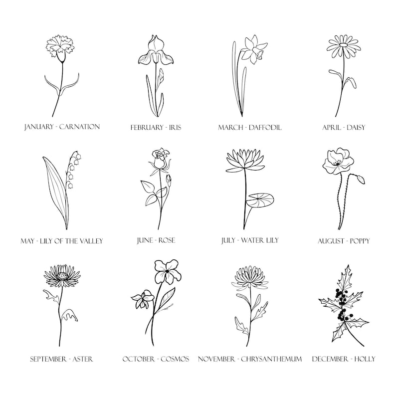 May include: A monochrome line drawing featuring twelve floral illustrations, each denoting a month. The flowers depicted are a carnation, iris, daffodil, daisy, lily of the valley, rose, water lily, poppy, aster, cosmos, chrysanthemum, and holly.