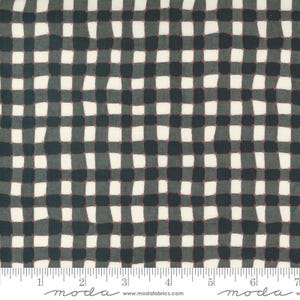 May include: A fabric with a black and white checkered pattern. The squares are slightly irregular, giving a hand-drawn appearance. Small red stitches are visible at the intersections of the squares. The fabric has a vintage or farmhouse aesthetic.