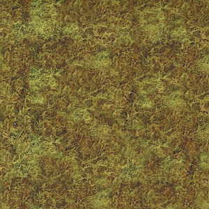 Outdoorsy - Ground Cover Dried Moss by Cathe Holden for Moda Fabrics, 1/2 yd, 7388 17