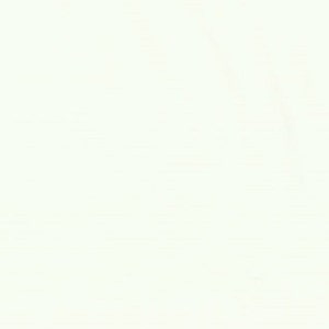 May include: A plain white background.