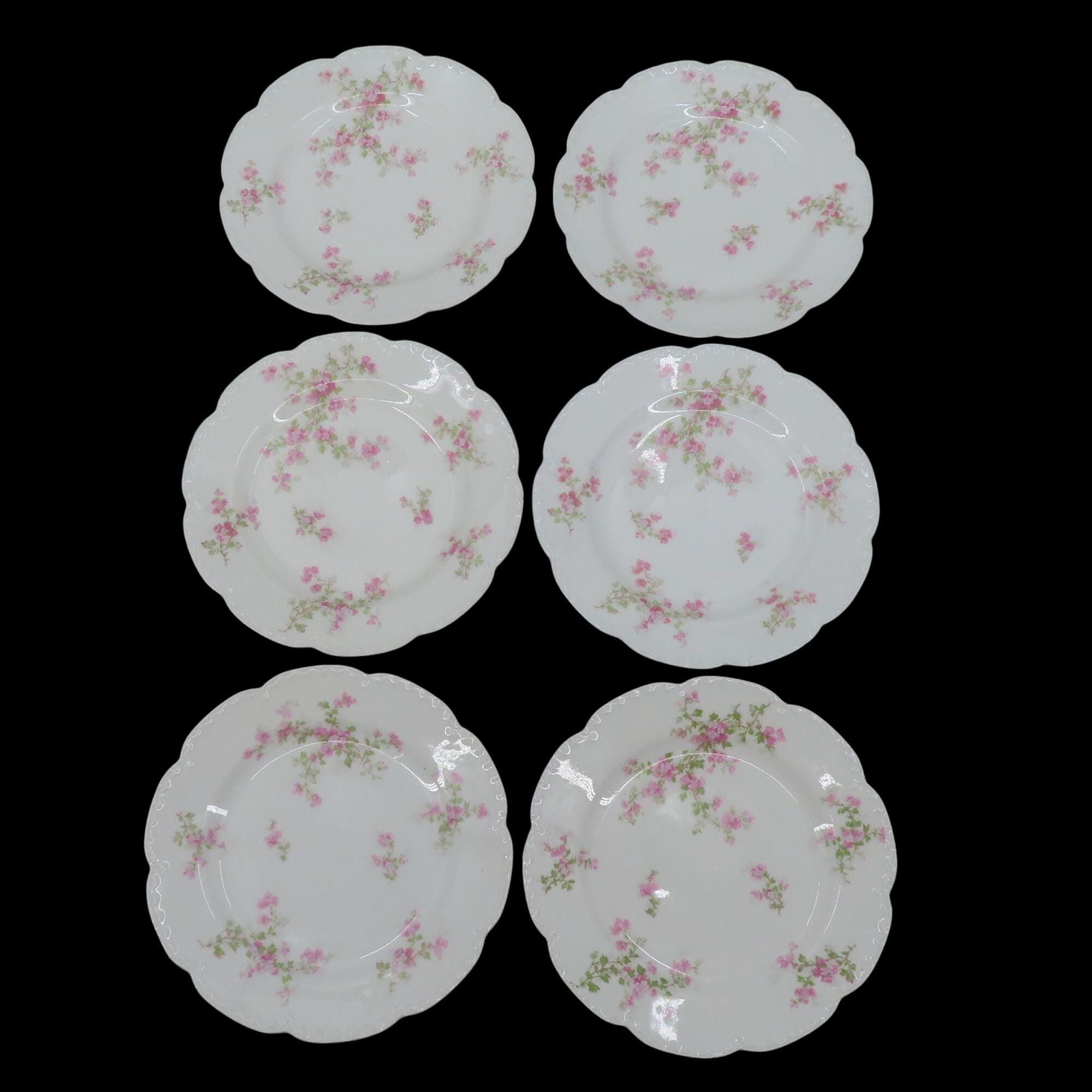 Haviland Co Set of 6 Plates 8.6in Pink Floral Flower Swag