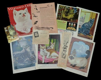 Lot de chatons sur le thème des années 50, des années 60, des annonces d'articles dans des magazines, des images imprimées vintage