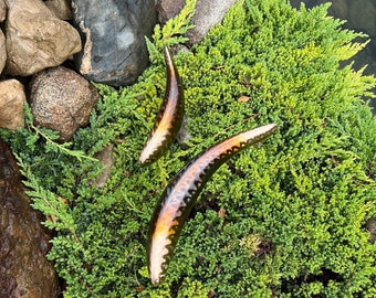 May include: Two brown and gold ceramic fish sculptures with a textured surface, placed on a bed of green juniper foliage.