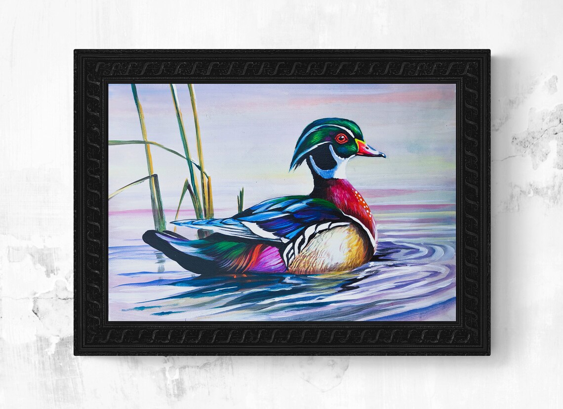 colored duck canvas