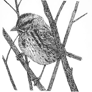 Song Sparrow linocut