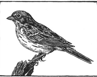 Vesper Sparrow