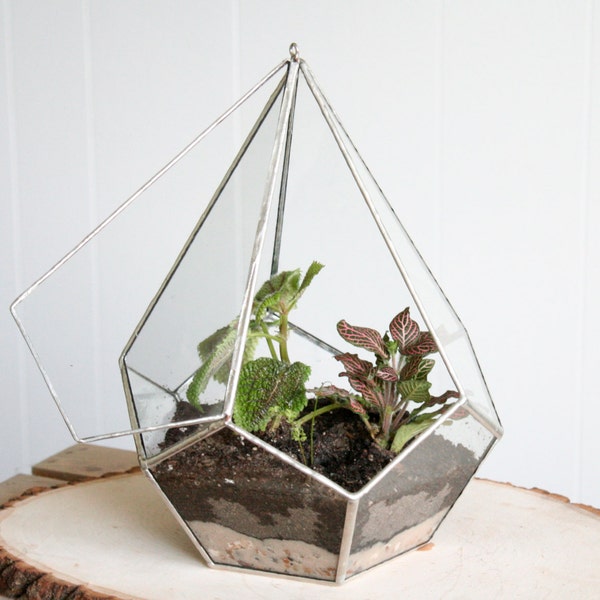 Terrarium, Large stained glass hanging terrarium, teardrop dodecahedron, eco-friendly recycled glass- great for ferns and moss