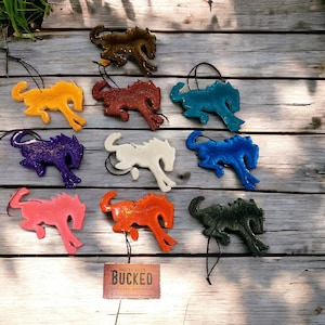 Hars Bronco autohanger: Bronco Community-cadeau