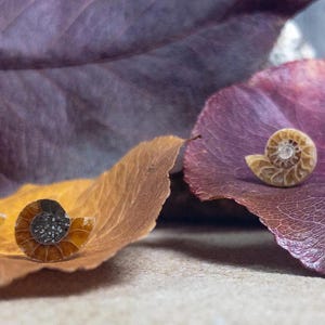 Going Fast! Ammonite Single Earring Slice Stud/Cabochon; Sterling Silver Stud (17 Itty Bitty Sweet Singles to choose from!)