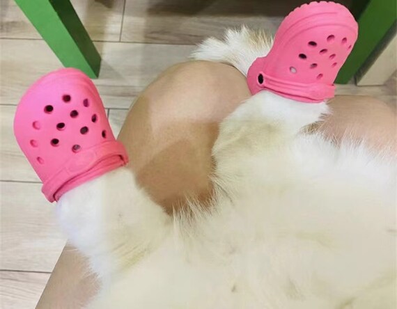 Crocs for cats sale
