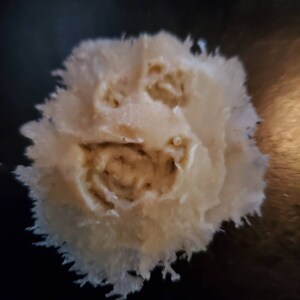 Pu&ograve; includere: Un oggetto rotondo e soffice di colore beige chiaro, con l'aspetto di un volto. L'oggetto ha un'area centrale pi&ugrave; scura con rientranze che assomigliano a occhi e bocca. I bordi sono sfilacciati e lo sfondo &egrave; scuro.