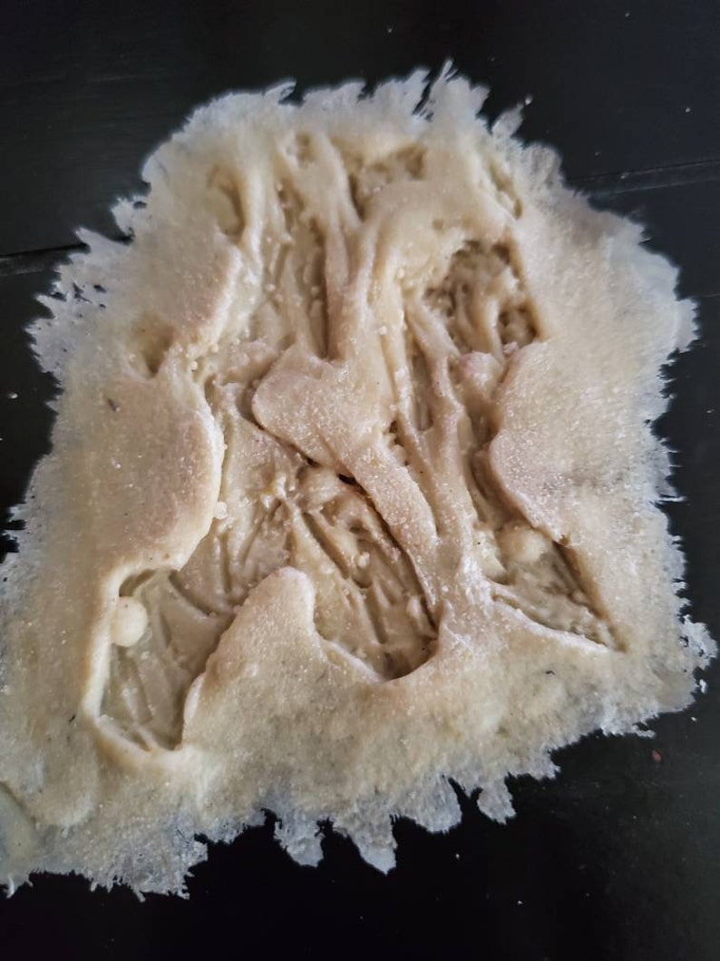 Pu&ograve; includere: Primo piano di un oggetto beige, strutturato, dalla forma irregolare e dal bordo sfilacciato. L'oggetto ha un aspetto organico complesso con molteplici creste e fessure e sembra essere fatto di un materiale poroso.