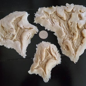 Large prosthetic wounds