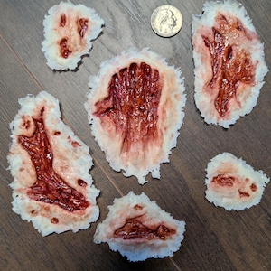 May include: Several pieces of realistic-looking, open wounds with exposed flesh and deep red blood. The wounds are irregularly shaped and vary in size. A quarter is included for size comparison. The pieces are arranged on a dark wood-grain surface.
